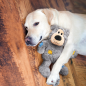 Preview: KONG Wild Knots Bear Assorted XS