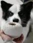 Preview: Yoomy Donut Sand