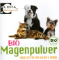 Mobile Preview: BIO Magenpulver (Gerstengras) 250g