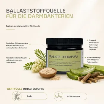 Provicell Präbiota Therapura 250g (Präbiotika)