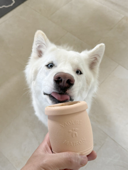 Preview: Yoomy Pot Salbei