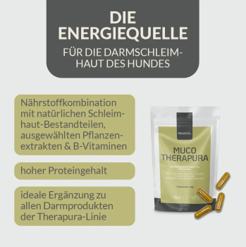 Preview: Provicell Muco Therapura 120 Kapseln (Darmschleimhaut)