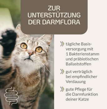 Preview: Probiotic Vital für Katzen 75g