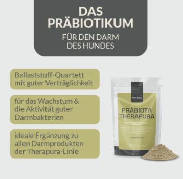 Preview: Provicell Präbiota Therapura 250g (Präbiotika)