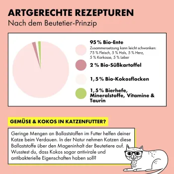 Preview: Strayz BIO Katzenfutter Ente & Süsskartoffel 14x 85g