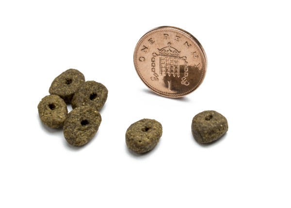 canagan small breed chicken