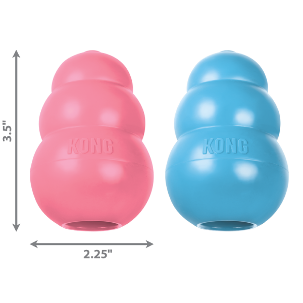 KONG Puppy M