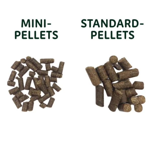 Dr. Ziegler's Rind & Hirse (MINI Pellets) 5Kg